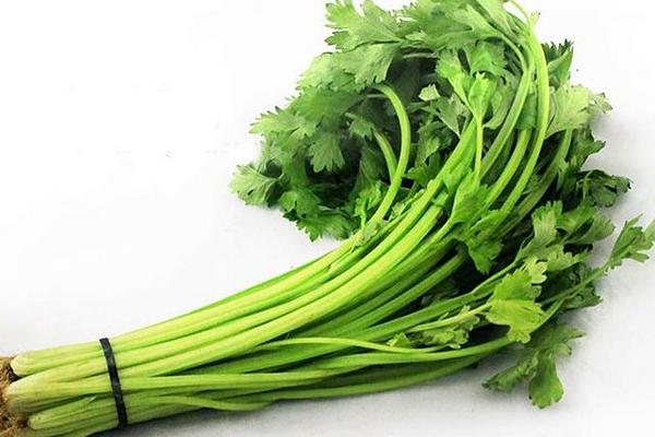 Chinese Celery (Bunch) - 中国芹菜(扎)