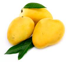 Australia Mango (Each) - 澳洲芒果(个)