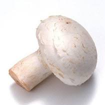 Mushroom (Bag) - 白蘑菇(袋)