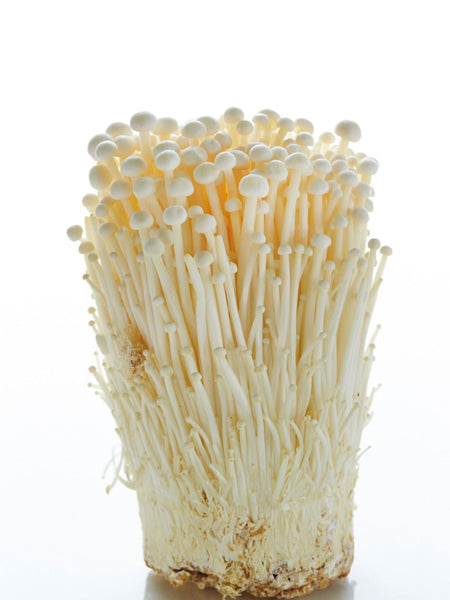 Golden Needle Mushrooms 100g - 金针菇/100g