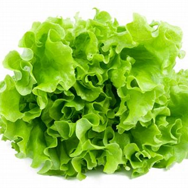 Lettuce (Each) - 生菜(个)
