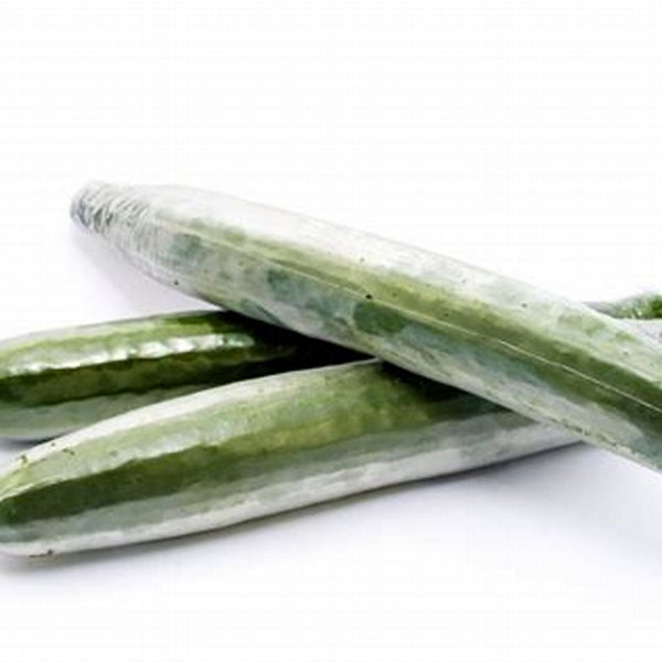 Tele Cucumber (Each) - 长青瓜(条)