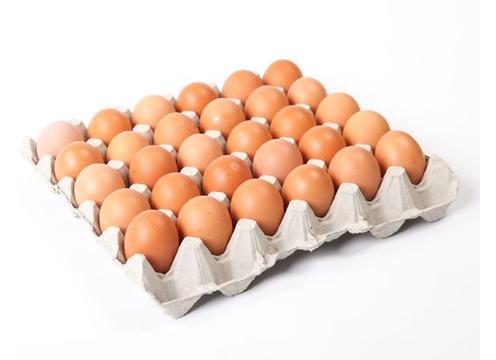 Size 7 Fresh Chicken Eggs(30Pcs) - 7号新鲜鸡蛋