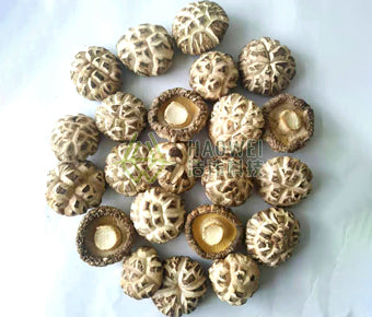Haowei Dried Mushroom 2.27Kg - 浩伟香菇2.27kG