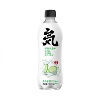 Genki Forest Soda Drink Lime Cactus 480Ml - 元气森林苏打气泡水青柠仙人掌味480ml
