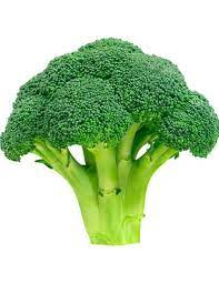 Broccoli (Each) - 西蘭花(个)