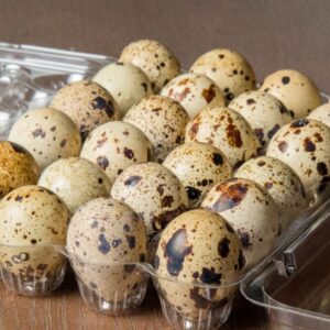 Fresh Quail Eggs 24Pc - 新鲜鹌鹑蛋24个装