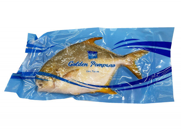 YY Golden Pompano 1pc - YY 金鯧魚1條